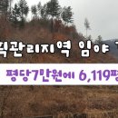 계획관리지역 임야 6,119평 경매 [양평군] 이미지