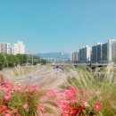 화랑대사거리 이미지