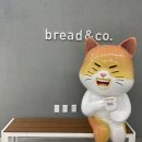 브레댄코 대전관저점