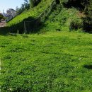 친환경대한민국 주식회사 이미지