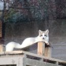 전주동물원 | 1박2일 전북 전주여행 전주동물원 다녀온 후기