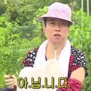 더나은정비 | 신혼여행 2일차_(2)스위스에서 살아남기 🇨🇭 (루체른에서 그린델발트)
