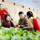 신광농장 이미지