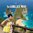 하단지구대 옆 교통섬2 내 | 발리 자유여행 누사페니다 일일 투어 후기 준비물 코스