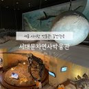 청소년수련원 야생화관 | 서울 아이랑 박물관 서대문자연사박물관 공룡부터 우주(관람료, 주차, 팁)