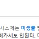 오아시스캐럿 이미지
