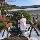 목성3길 | 겨울 제주도 가족여행 2탄