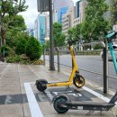 강남-233 한겨레