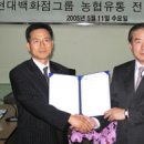 현대유통할인점 이미지