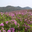 5월4일 산행안내(보성 초암산) 이미지