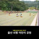 쇠평마을 | 울산 가볼만한곳, 아이들과 쇠평어린이공원으로 ~ ♥