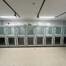 멍냥&꽁냥 | 세종시 &#39;세종애견미용학원&#39; , 화성시 진안동 &#39;멍냥꽁냥&#39; 시공 후기