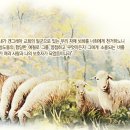 뵈뵈 이미지