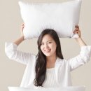 베네호텔 이미지