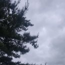 다드림안경원 이미지