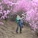 (주)효성 안양공장 이미지
