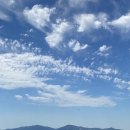 (주)한울에프앤에스 롯데마트 송도점 | 붉은 석양 보기 좋은 시흥 '배곧한울공원' 영종도부터 송도 , 그리고 시흥까지 인천 나들이