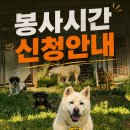[6월 봉사시간 신청] 사진 + 성함, 생년월일, 전화번호 이미지