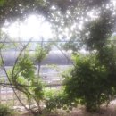 누리민박 이미지