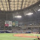 돔 직관] LG 트윈스 vs 키움 히어로즈 경기 직관 후기 (with 안장군의 ABS 적응기, 3루 버건디석 113...