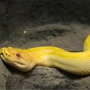 백사한의원 이미지