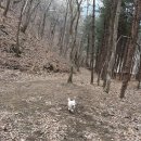 밤나무 민박 | [강원도 인제] 보리네민박 : 독채, 개별 운동장 (ft.춘심이네자작나무식당)