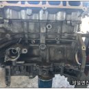 제일보링 이미지