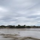 광천역전토굴새우젓 이미지