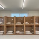 광주 애견유치원 애견호텔 플레이멍 이미지