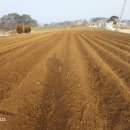 한길농장 이미지