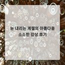 계절의기억 | 눈 내리는 계절의 아름다움 소소한 감상 후기