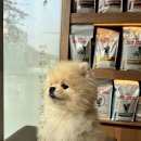 얼바인동물병원 이미지