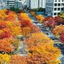 녹음광장 Daum카페