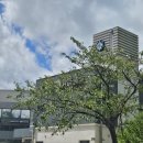 (24여름학기) 소도구 필라테스 이미지