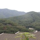 일원본-111 이미지