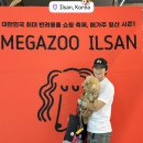 주무시5 | 일산 갈만한곳 메가주 2026 펫페어 후기