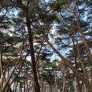 아카데미다실 이미지