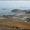 안일초등학교백야분교장 이미지