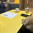 올바로 교육문화센터 이미지