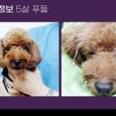 좋은 친구들 동물병원 이미지