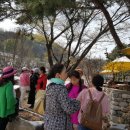 남한식당 이미지