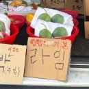 푸푸(POOPOO) 이미지