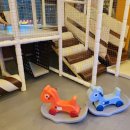 운정갈비 이미지