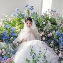 더미스튜디오 네이버블로그