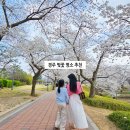 보문지역아동센터 앞 | 경주 여행 가볼만한곳 3월 4월 벚꽃 명소 벚꽃길 보문관광단지 주차장