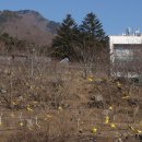 김동규농장 이미지