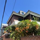 염주종로약국 | 템플스테이는 여름에 하지 말자