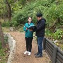 와룡정비 이미지