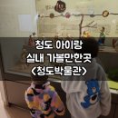 청도박물관 | 청도 아이랑 실내 가볼만한곳 청도박물관에서 즐기는 특별한 역사 여행