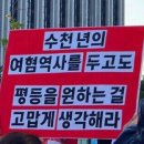 대선참치 이미지